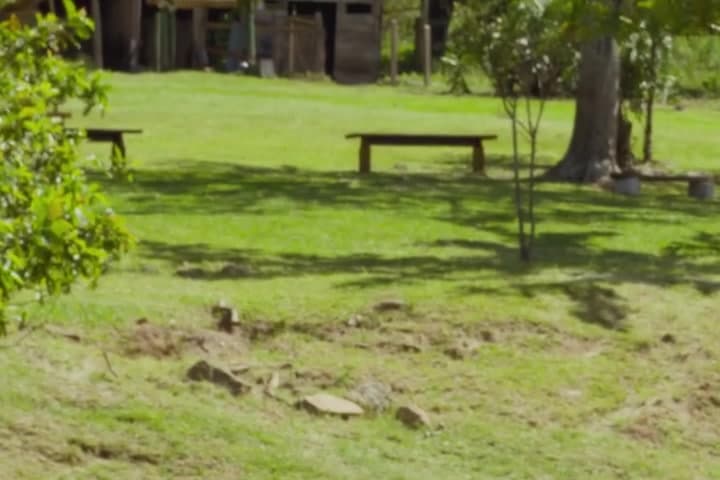 Gramado com bancos de madeira e construção rústica entre as árvores